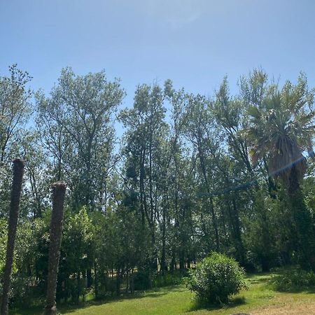 Chalet En Pleine Nature La Roquette-sur-Siagne Екстериор снимка