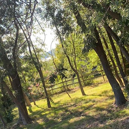 Chalet En Pleine Nature La Roquette-sur-Siagne Екстериор снимка