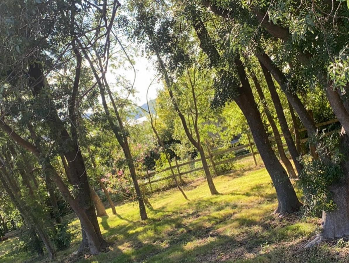 Chalet En Pleine Nature La Roquette-sur-Siagne Екстериор снимка